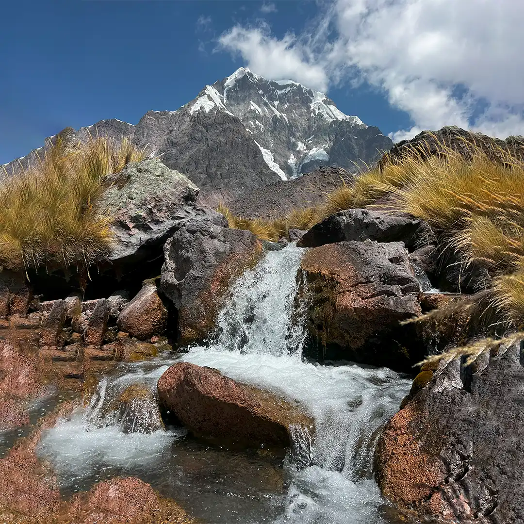 Paisaje Andino