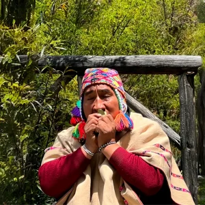 master reads coca leaf