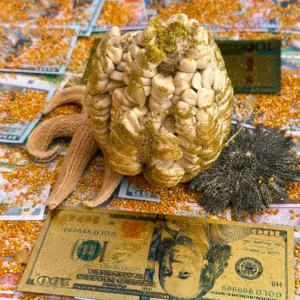 despacho offering to mother earth