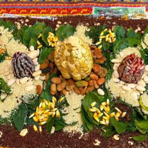 offering to mother earth