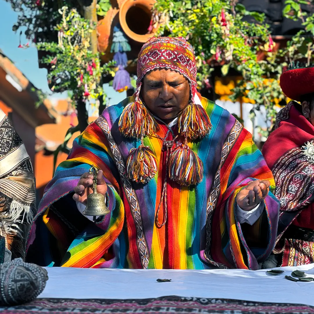 andean healing world