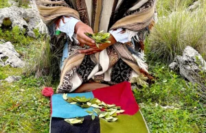 coca-leaf-reading