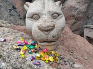 Sacred Animals of the Andes and the Rainbow Lineage