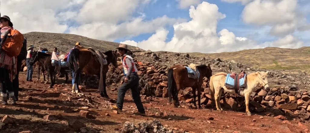 pacchanta tour cusco