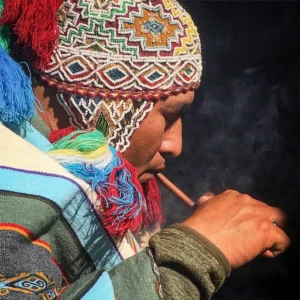 Ayahuasca: What to Expect on Your Journey