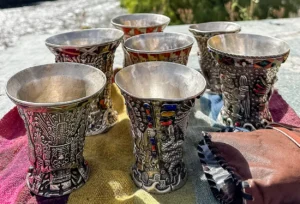 Ayahuasca vs San Pedro (Wachuma)