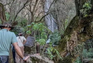 Day Hike to Poc Poc Waterfall (Private Service)