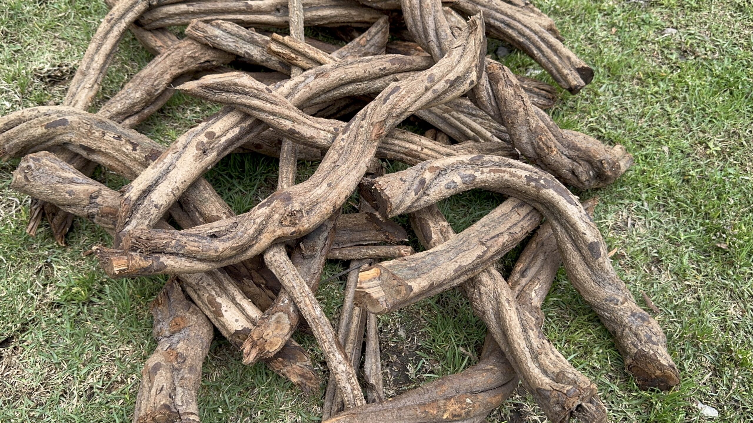 Is Ayahuasca Legal in Peru?